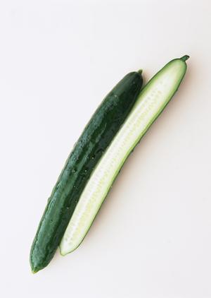 ふぐ・うなぎ・スッポン料理の割烹博多