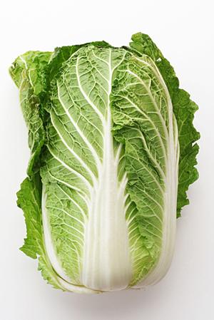 地域に愛されるお弁当と仕出しの専門店「お弁当のつるや」：岡山津山を中心に多彩なメニューと高い評価を誇る