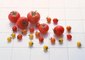 海浜幕張の絶品大衆酒場【ムロヒガシ】：炭火焼き串と豊富なメニューで気軽に楽しめる居酒屋